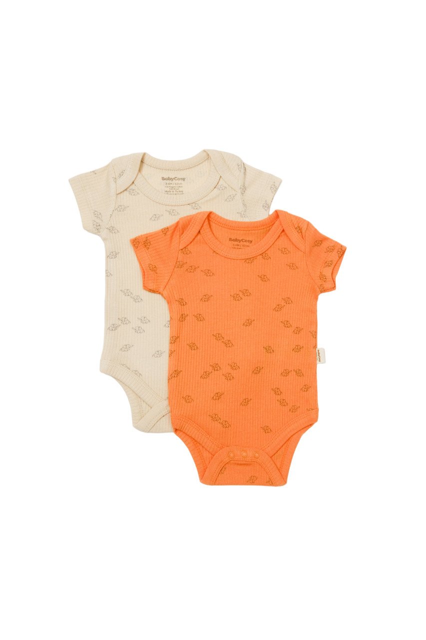 Set 2 body-uri Printed