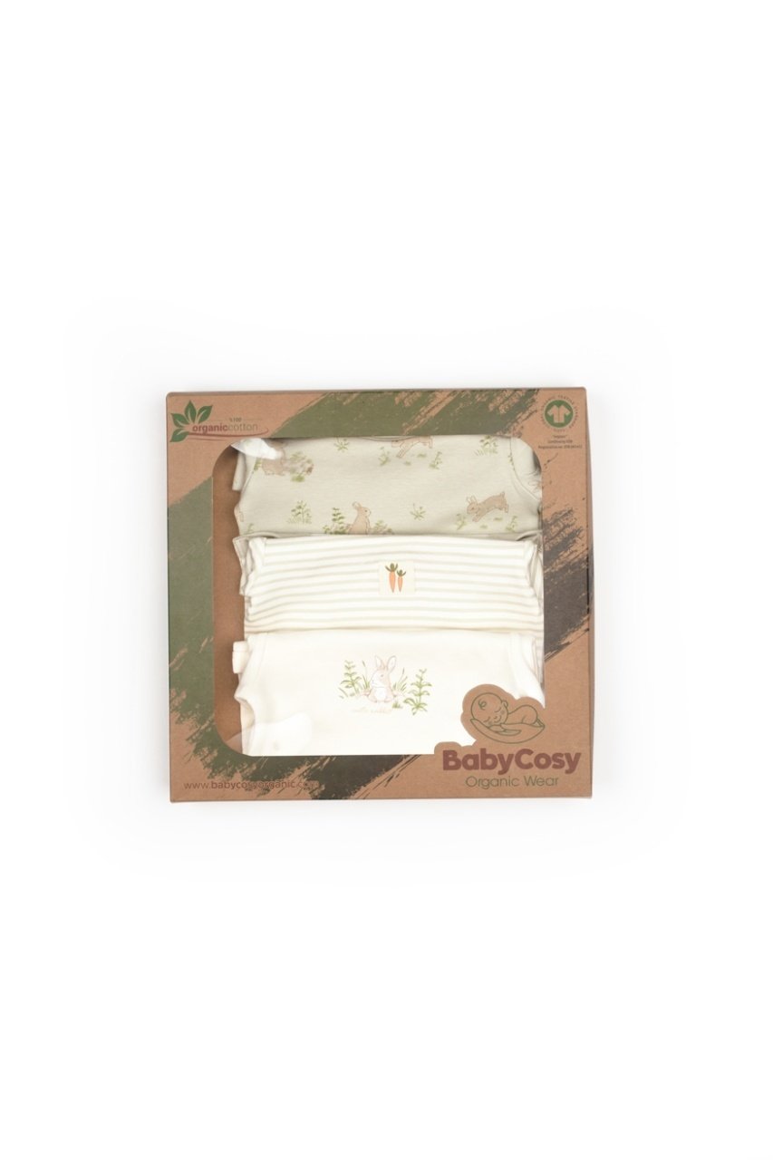 Set 3 body Rabbit